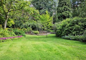 Optimiser l'expérience du jardin à Rocheserviere